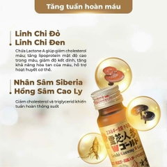 MENARD - Nước tăng lưc Sâm Linh Chi (10x50ml)