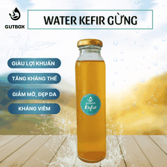 Water Kefir Gừng