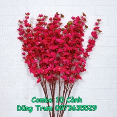 Cành mai giả cành đào giả cao 1m trang trí Tết cực đẹp (Combo 10 cành)