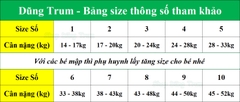 Trang phục Tây Nguyên trẻ em hóa trang dân tộc Tây Nguyên