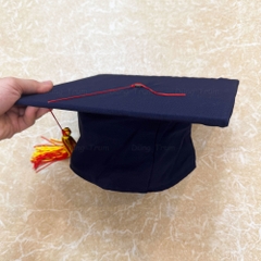 Áo Cử Nhân Cả Mũ Chất Liệu Vải Dâu Mát Đẹp Đầy Đủ Size Từ Tiểu Học Đến Người Lớn