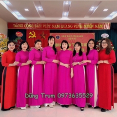 Áo dài cách tân Combo 10 bộ biểu diễn cho đoàn nhóm