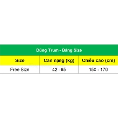 Trang phục múa Ấn Độ người lớn mẫu Váy kết hợp Áo yếm