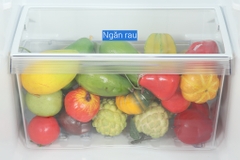 Tủ lạnh Casper Inverter 238 lít RT-250V