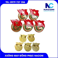 Huy hiệu đoàn thanh niên Việt Nam