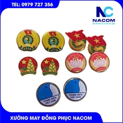 Huy hiệu đoàn thanh niên Việt Nam