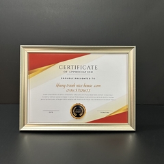 Khung Bằng Khen Màu Bạc 101B