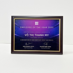 Khung Bằng Khen Nâu Chỉ Vàng 102CV
