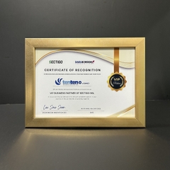 Khung bằng khen màu vàng xước F3VX