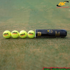 Bóng Tennis Wilson đen