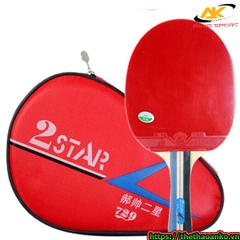 Vợt bóng bàn 729 2Star