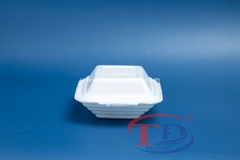 Sticky rice foam box