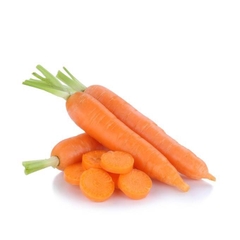 Carrot