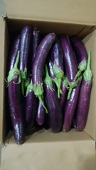 Eggplant