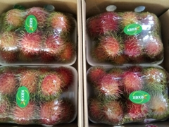 Rambutan