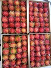 Rambutan