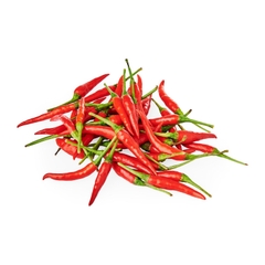 Red Chilli Padi