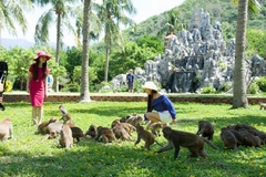 Vé đảo Khỉ Nha Trang