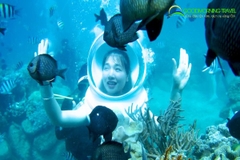 Tour đi bộ dưới biển Nha Trang