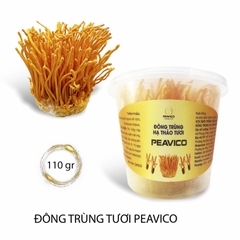 Đông Trùng Tươi PEAVICO (hộp 110g)