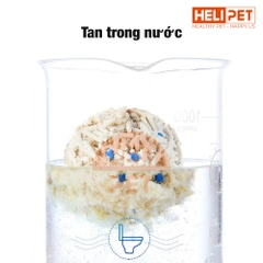 Cát phát hiện máu Petkit Occult Blood Test Mixed Cat Litter - Tan trong nước