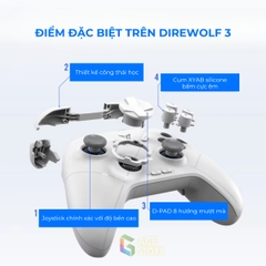 Flydigi Direwolf 3 | Tay cầm chơi game Direwolf 3 Wireless hỗ trợ đa nền tảng PC/Switch/Mobile | Gace Store