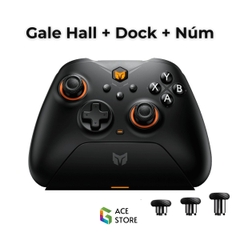 BigBig Won Gale Hall 2024 | Tay Cầm Chơi Game Không Dây 2.4G | Hỗ Trợ Kết Nối Đa Nền Tảng, Tính Năng Vượt Trội