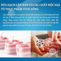 Máy khử khuẩn thực phẩm Vamia 11L máy rửa rau củ hoa quả