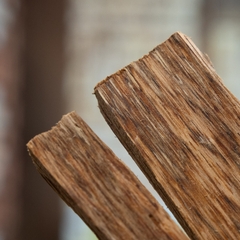 Thanh Giác Trầm Hương Xông Nhà Đặc Biệt | Trầm Hương Ân Vũ - Hương Thơm Chữa Lành