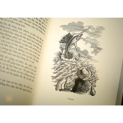 Sách - Ấn bản giới hạn Ông già và biển cả - Đông A