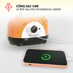 Đèn sạc tích điện Honjianda HJD-222
