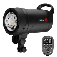 Bóng đèn flash DM5 ( 500W)