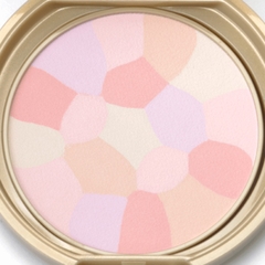 Phấn phủ Canmake Marshmallow Finish Powder Abloom SPF19 PA++ - MÀU 02