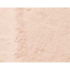 Phấn phủ kiềm dầu Peripera Oil Capture Cooling Powder 11g