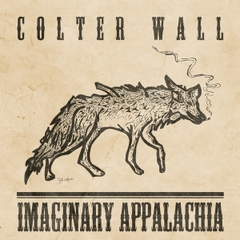 CD COLTER WALL - IMAGINARY APPALACHIA