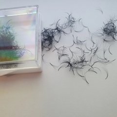 Mi Fan Camellia 3D ( L / 0.05-007 )