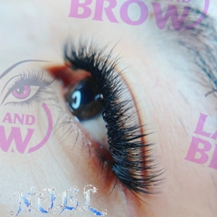 Mi Fan Camellia 3D ( L / 0.05-007 )