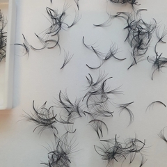 Mi Fan Camellia 5D ( CC / 0.05-007 )