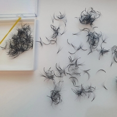 Mi Fan Camellia 5D ( CC / 0.05-007 )