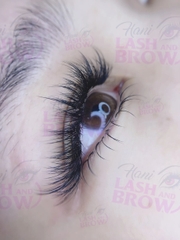 Mi Fan Camellia 5D ( CC / 0.05-007 )