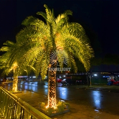 Đèn chiếu cây SLSTRE18
