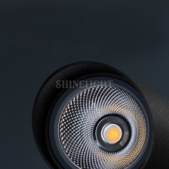 ĐÈN CHIẾU CÂY SLT13