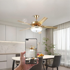 Quạt trần đèn SL107