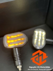 Xi nhan Nguyên vũ Monster