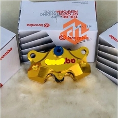 Heo Bremb 2Pis Đối Xứng Gắn Mọi Dòng Xe