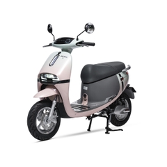 XE MÁY ĐIỆN ESPERO GOGO-F2 PRO