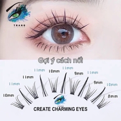 Fullset Tự gắn lông mi Make up kiểu mới hỗn hợp mi chùm sole và mi chữ A (có thể nối mi với keo không cay)