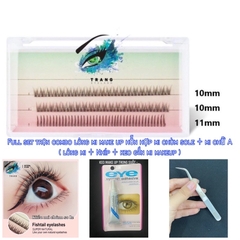 Fullset Tự gắn lông mi Make up kiểu mới hỗn hợp mi chùm sole và mi chữ A (có thể nối mi với keo không cay)