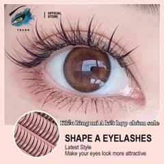 Fullset Tự gắn lông mi Make up kiểu mới hỗn hợp mi chùm sole và mi chữ A (có thể nối mi với keo không cay)