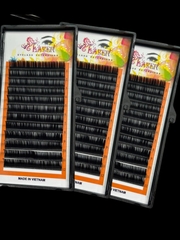 Lông mi nối 0.07 C Cc D U (0.07 SOFT SILK lash trays)